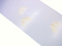 ��`�����F�T�����@�u���ɏ��v����������@�c����